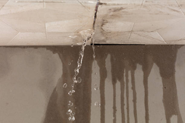 Professional Structural Drying technician working in Summerfield, NC